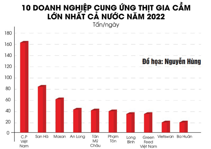 10 doanh nghiệp cung ứng thịt gia cầm lớn nhất cả nước năm 2022