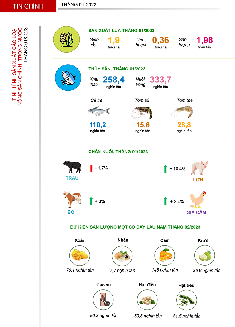 Bản tin sản xuất và tiêu thụ nông sản trong nước tháng 2-2023