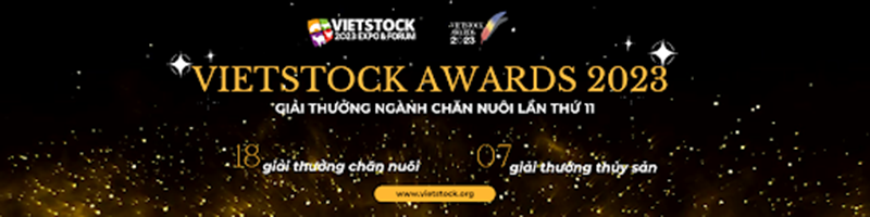 Vietstock Awards