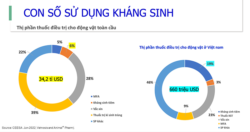 Câu chuyện kháng sinh trong chăn nuôi