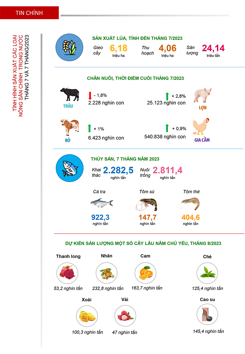 Bản tin sản xuất và tiêu thụ nông sản trong nước tháng 8/2023