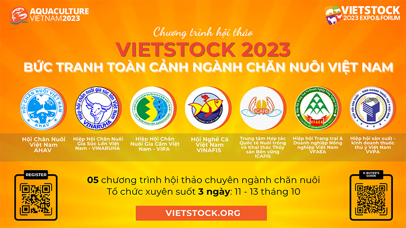 Vietstock mang đến bức tranh toàn cảnh ngành chăn nuôi Việt Nam