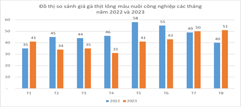 so sánh giá gà thịt lông màu