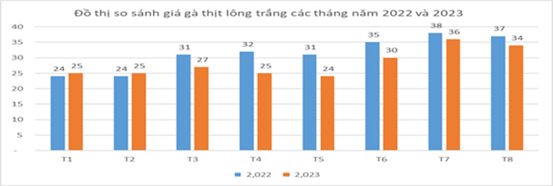 So sánh giá gà thịt lông trắng