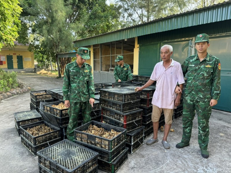 nhập lậu gia cầm