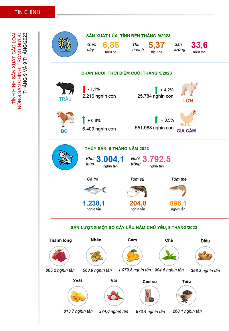 Bản tin sản xuất và tiêu thụ nông sản trong nước tháng 10/2023