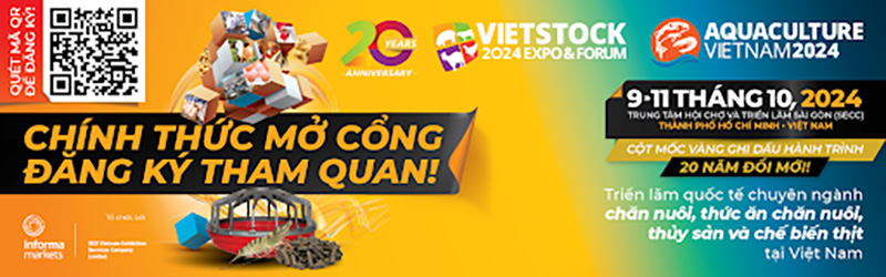 mở cổng đăng ký Vietstock 2024