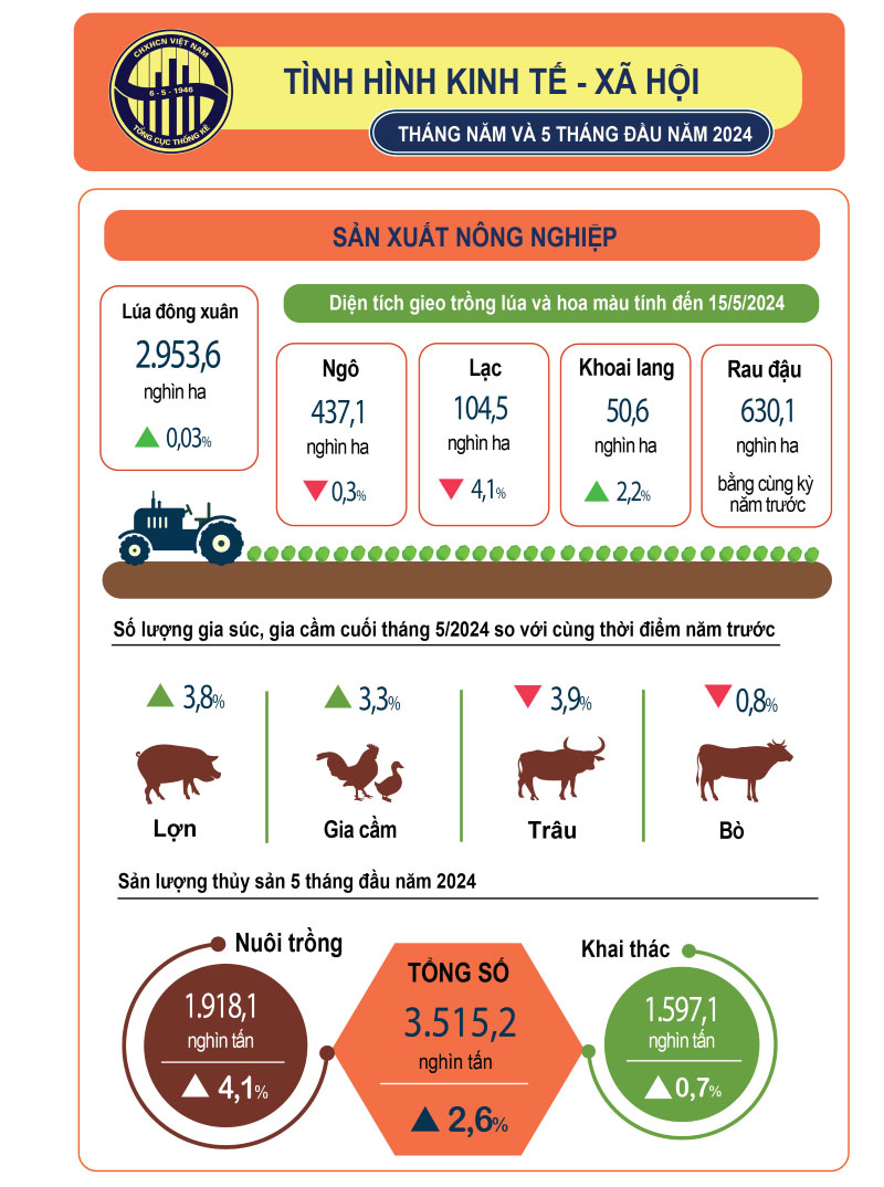 tình hình kinh tế xã hội tháng 5 năm 2024