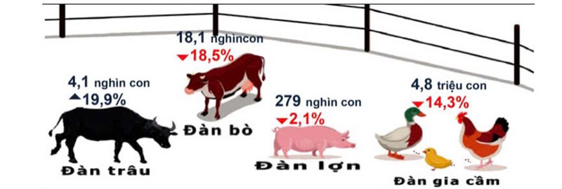 chăn nuôi bắc ninh