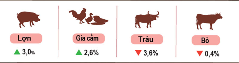 Tốc độ tăng/giảm số lượng gia súc, gia cầm cuối tháng 7