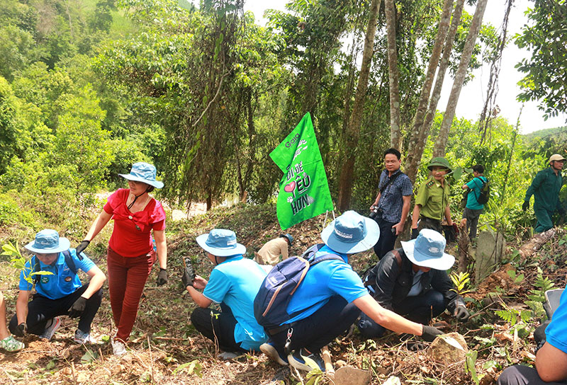 Viphavet trồng rừng