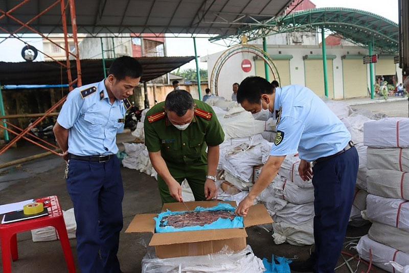 nhập lậu gia cầm